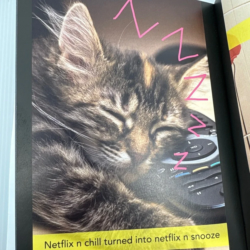 Snapcat Book Rosie Ryder Cats That Love To Snap‎ Chat Photography Humor Book